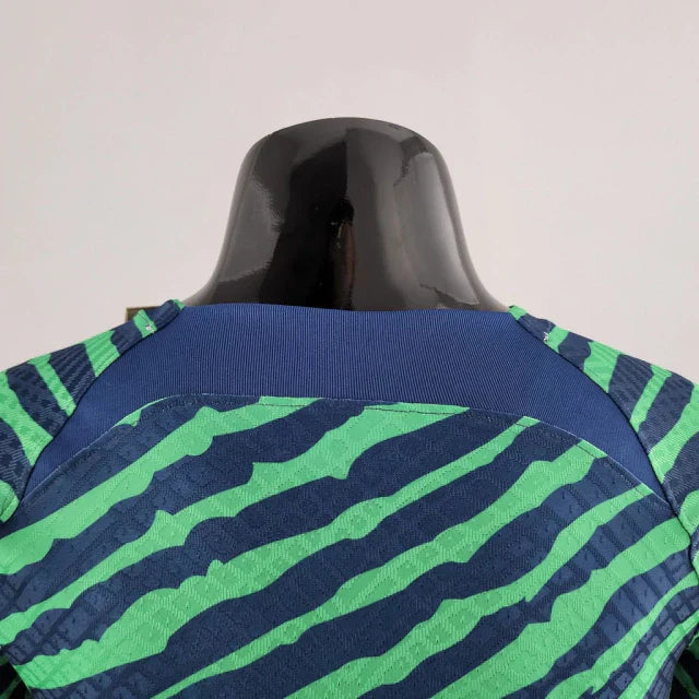 Camisa Brasil Pré-Jogo 2022 - Versão Jogador Verde