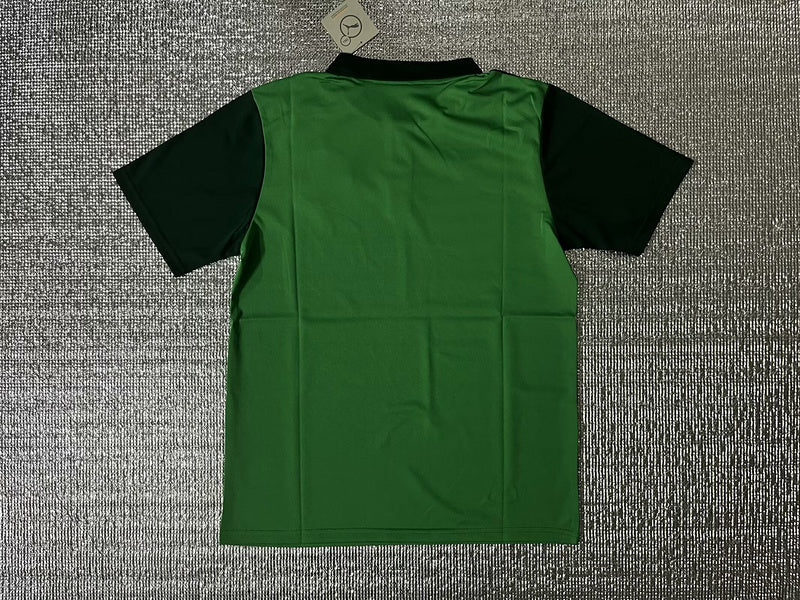 Camisa Polo Palmeiras 2025 - Verde