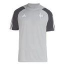 Camisa Galo Treino 24/25 - Cinza