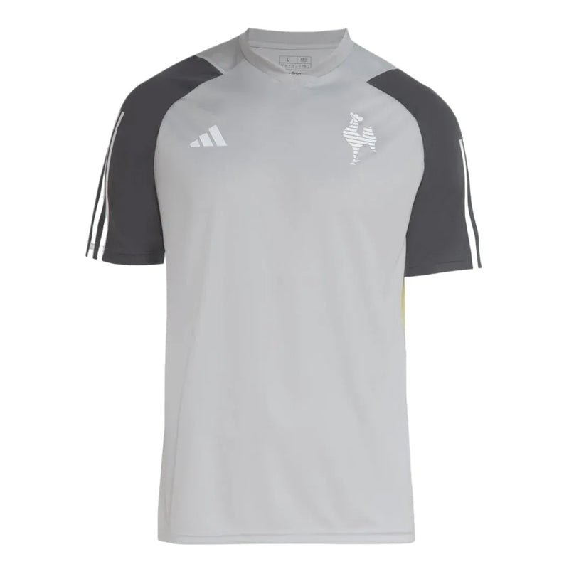 Camisa Galo Treino 24/25 - Cinza