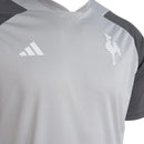 Camisa Galo Treino 24/25 - Cinza