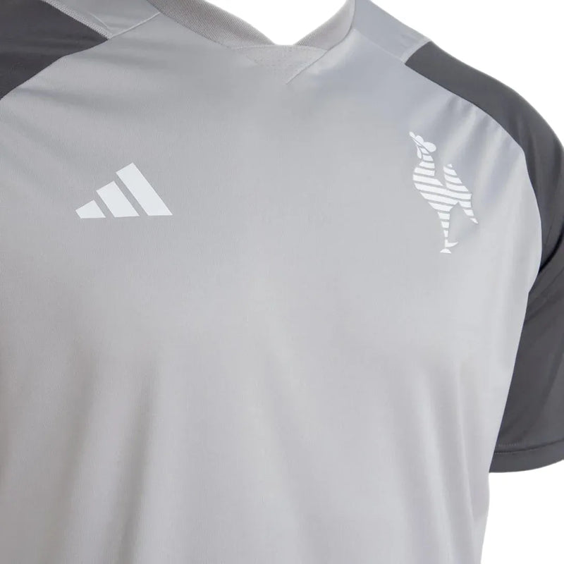 Camisa Galo Treino 24/25 - Cinza