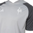 Camisa Galo Treino 24/25 - Cinza